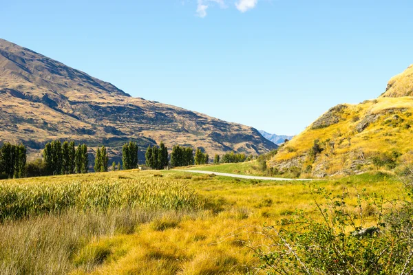 New Zealand alps and meadows — Stock Photo, Image