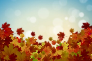 Sonbahar düşen yapraklar arka plan