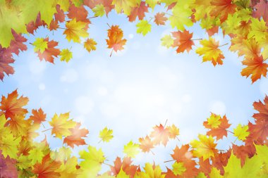 Sonbahar düşen yapraklar arka plan