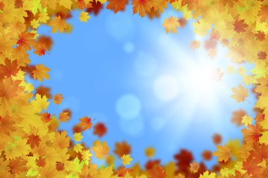 Sonbahar düşen yapraklar arka plan