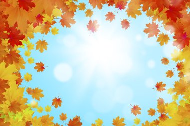 Sonbahar düşen yapraklar arka plan