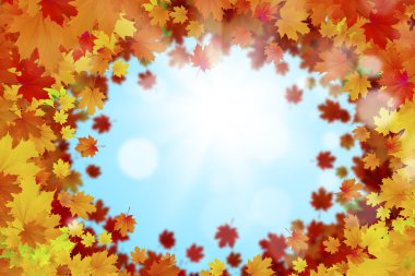 Sonbahar düşen yapraklar arka plan