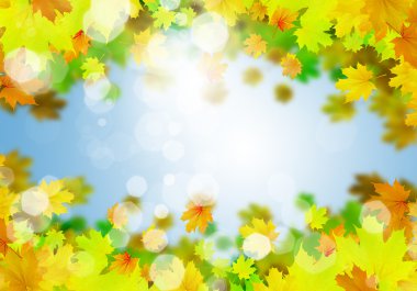 Sonbahar düşen yapraklar arka plan