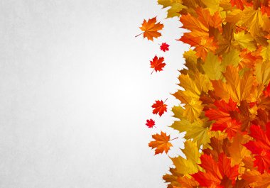 Sonbahar düşen yapraklar arka plan