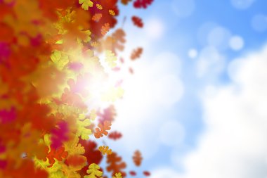 Sonbahar düşen yapraklar arka plan