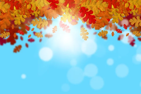 Herfst vallende bladeren achtergrond — Stockfoto