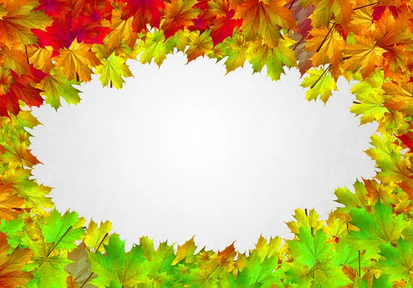 Autumn falling leaves background — Stock Photo, Image