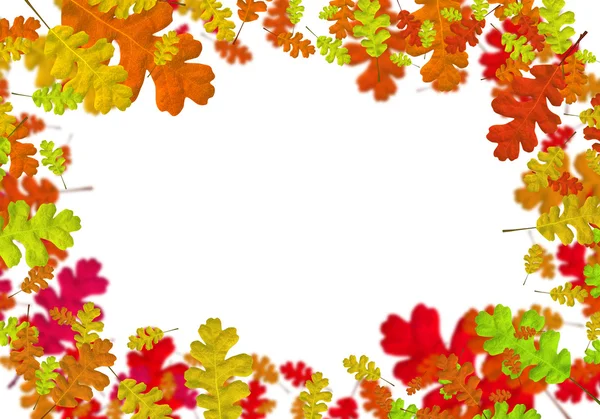 Autumn falling leaves background — Stock Photo, Image