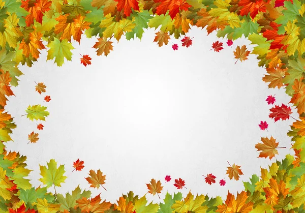 秋の紅葉の背景 — ストック写真