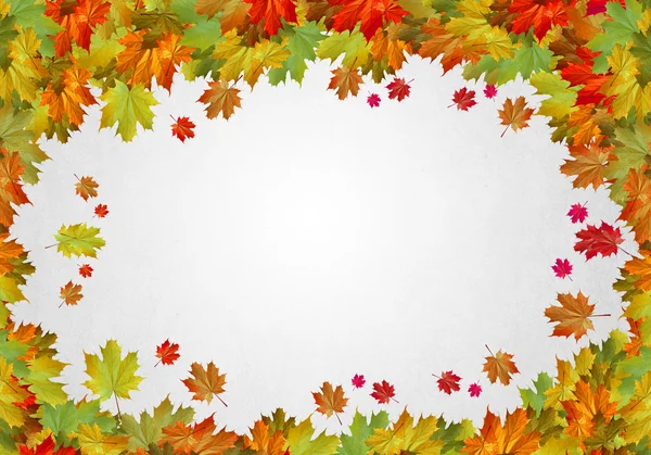 Autumn falling leaves background — Stock Photo, Image