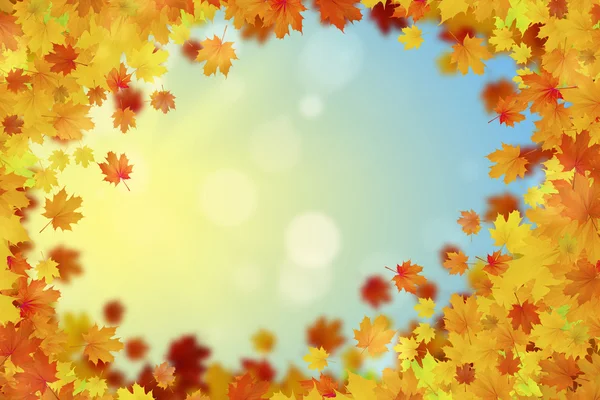 Autumn falling leaves background — Stock Photo, Image
