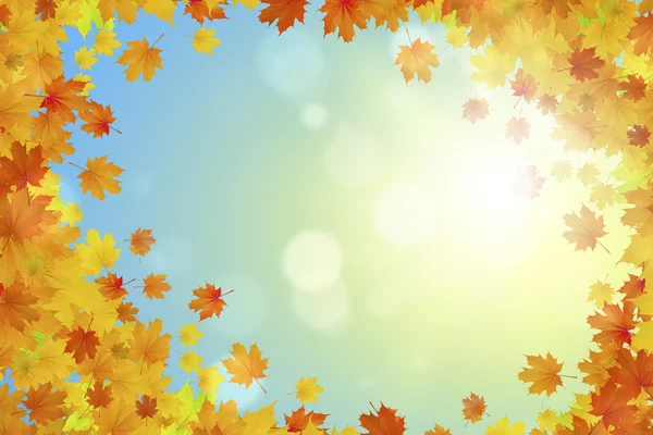 Outono caindo folhas fundo — Fotografia de Stock
