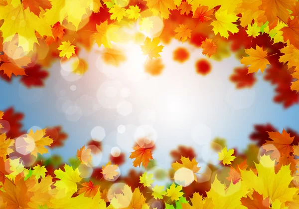 Autumn falling leaves background — Stock Photo, Image