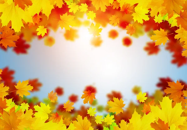 Autumn falling leaves background — Stock Photo, Image