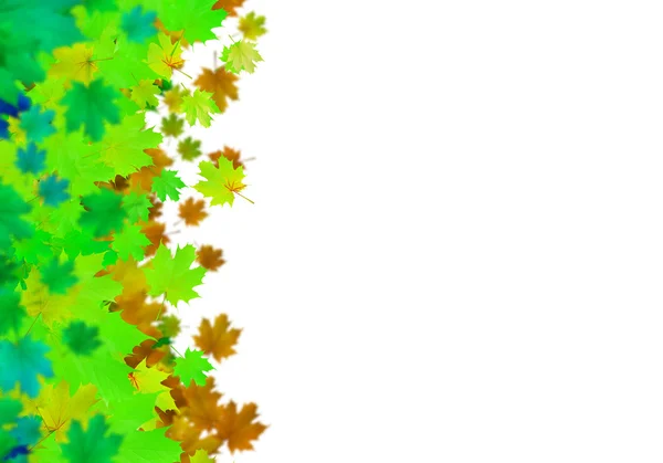 Herbst fallende Blätter Hintergrund — Stockfoto