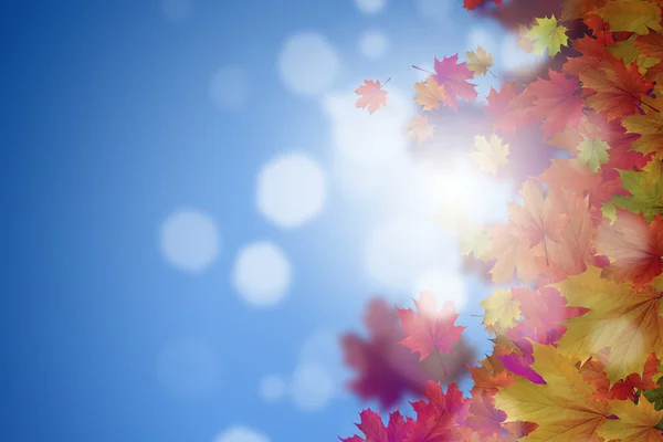 Autumn falling leaves background — Stock Photo, Image