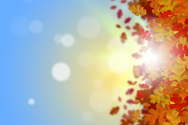 Autumn falling leaves background — Stock Photo, Image