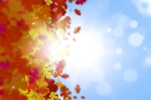 Hösten faller löv bakgrund — Stockfoto