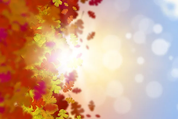 Herbst fallende Blätter Hintergrund — Stockfoto