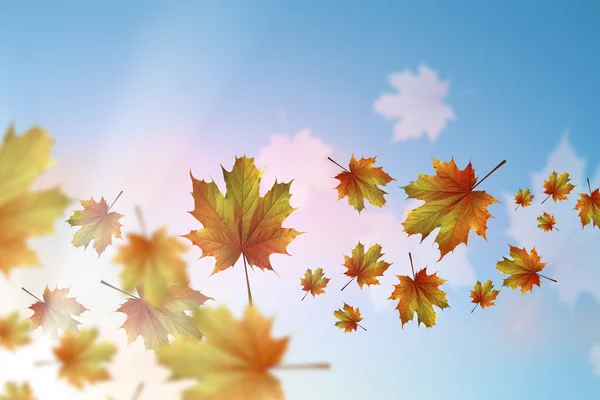 Осіннє осіннє листя фону — стокове фото