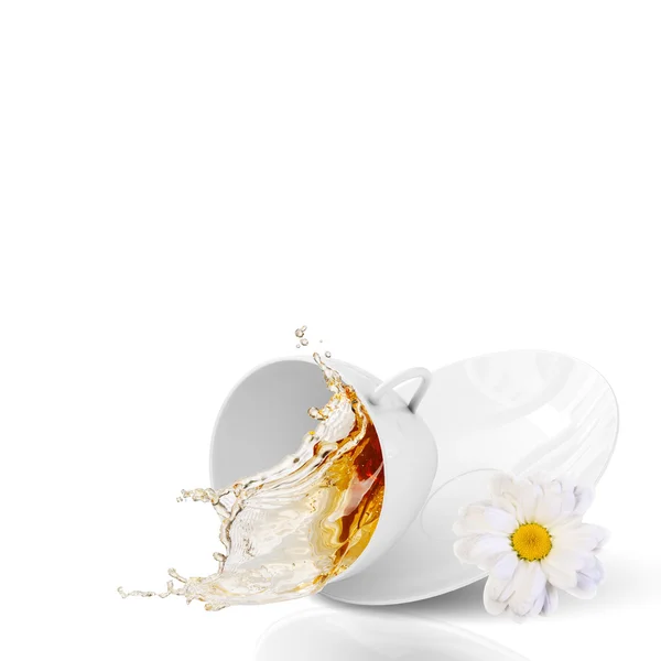 Chamomile tea — Stock Photo, Image