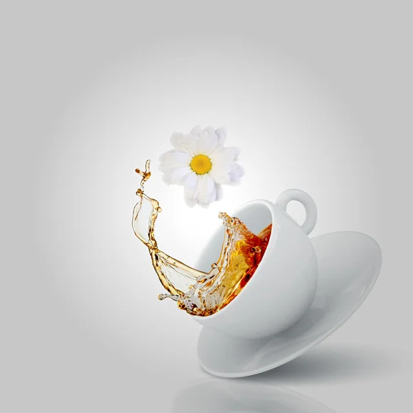 Chamomile tea — Stock Photo, Image