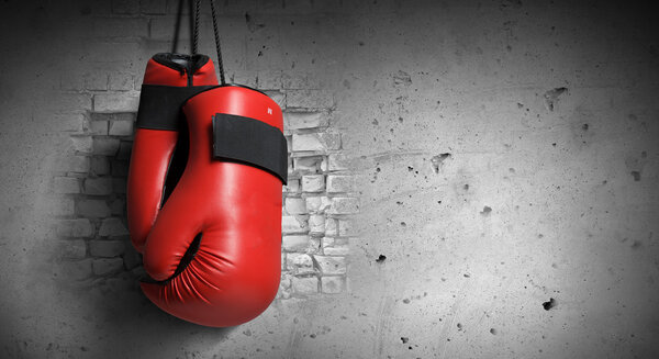 Боксерские глобусы