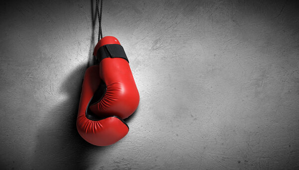 Боксерские глобусы