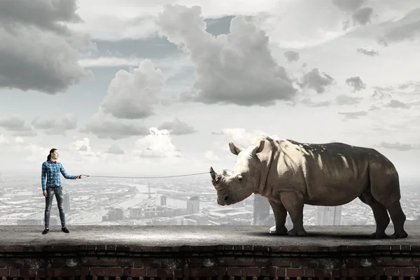 Menina com rinoceronte — Fotografia de Stock