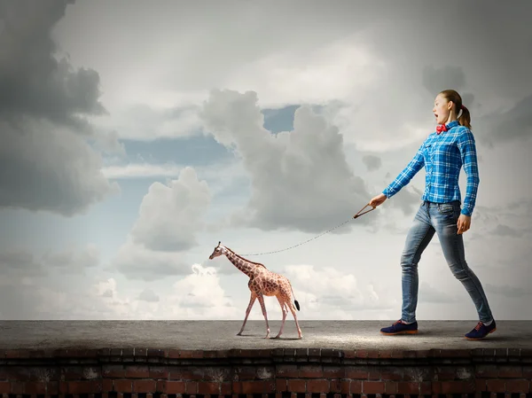 Girl with giraffe — Stock Photo, Image