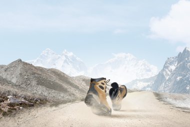 yürüyüş botları