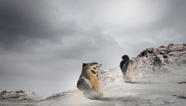 yürüyüş botları