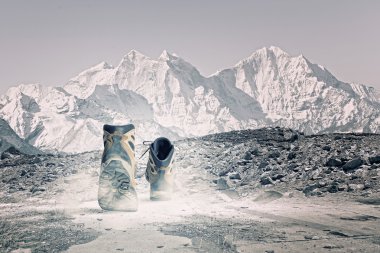 yürüyüş botları