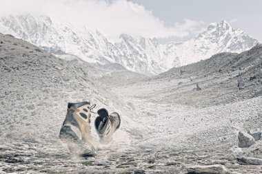 yürüyüş botları