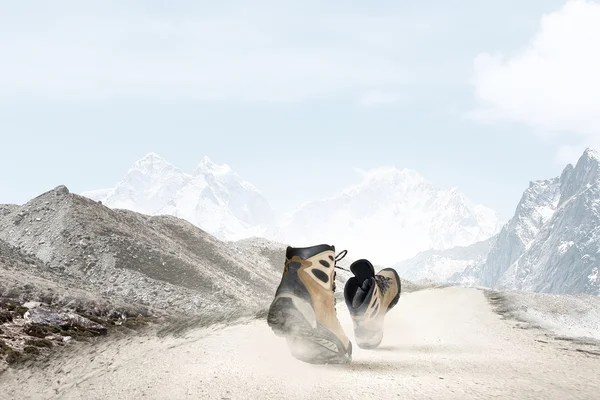 yürüyüş botları