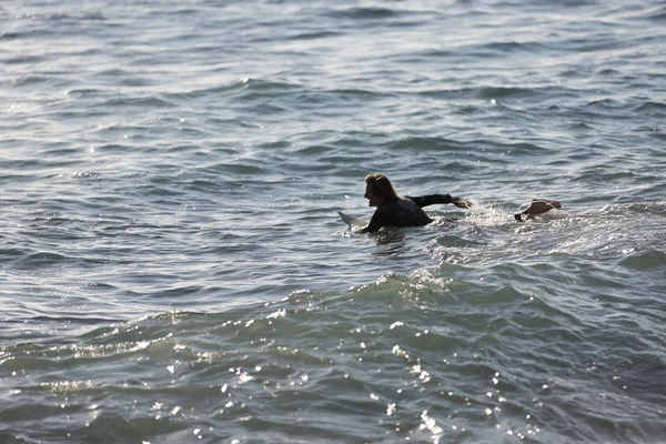 Prêt à rencontrer les vagues — Photo