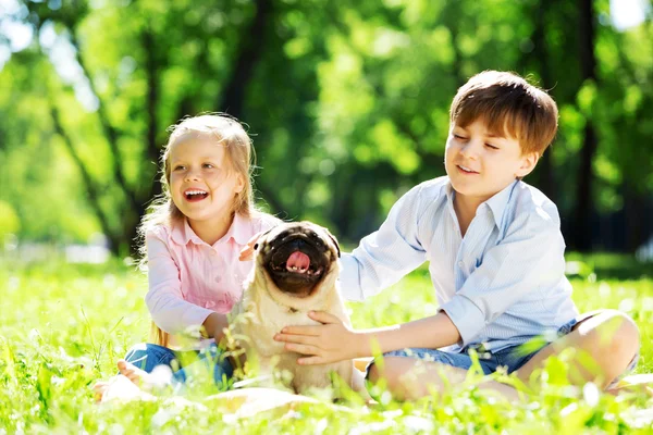 Zomer weekend in park — Stockfoto