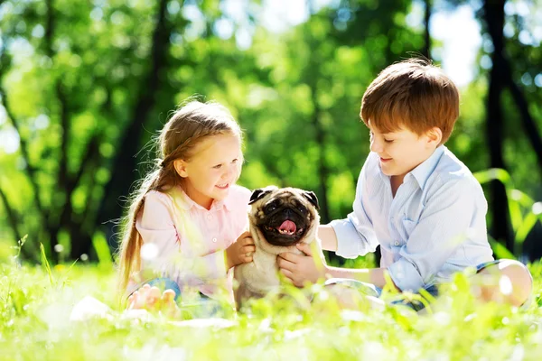 Summer weekend in park — Stock Photo, Image