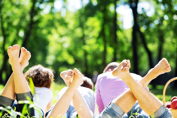 Picnic in garden — Stock Photo, Image