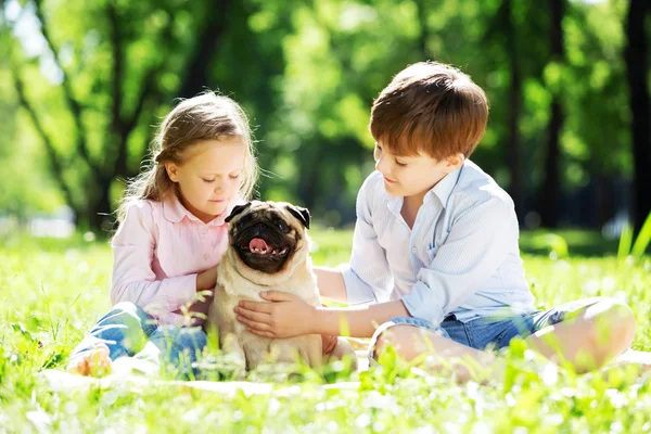 Zomer weekend in park — Stockfoto