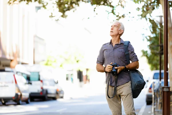 Looking for good shoots — Stock Photo, Image