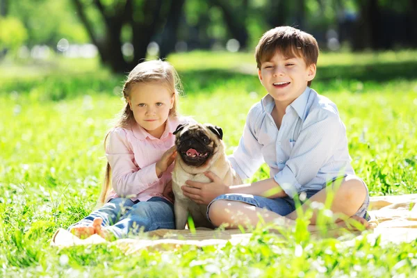 Summer weekend in park — Stock Photo, Image