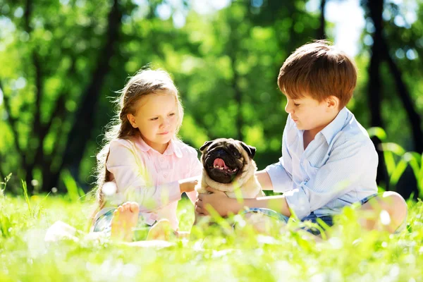 Summer weekend in park — Stock Photo, Image