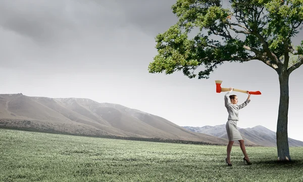 Problema della deforestazione — Foto Stock