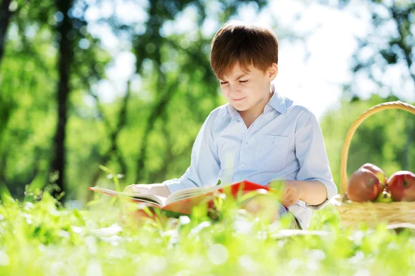 Summer weekend outdoors — Stock Photo, Image