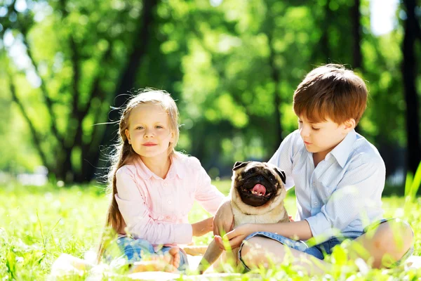 Summer weekend in park — Stock Photo, Image