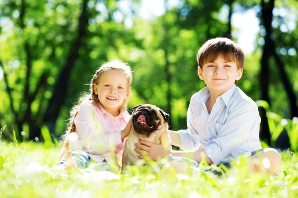 Zomer weekend in park — Stockfoto