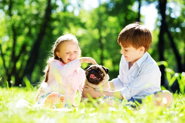 Zomer weekend in park — Stockfoto