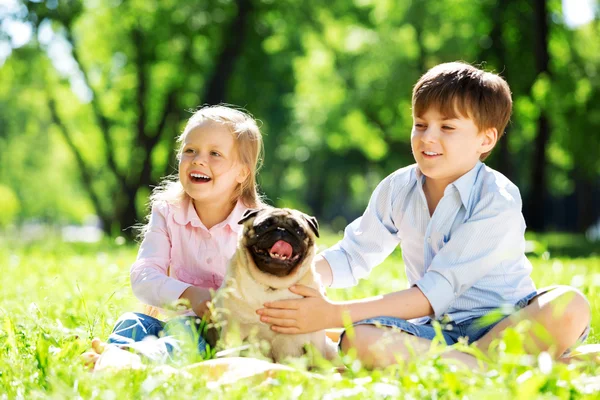 Zomer weekend in park — Stockfoto