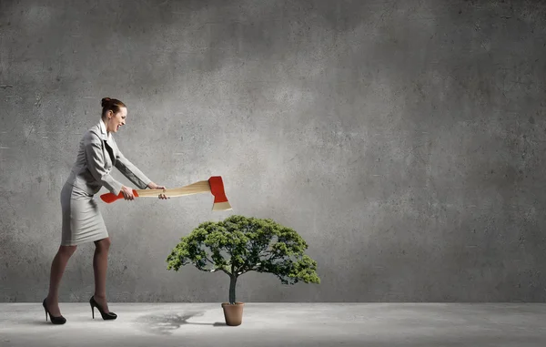 Deforestation problem — Stock Photo, Image